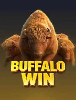 Buffalo Win (PG SOFT)